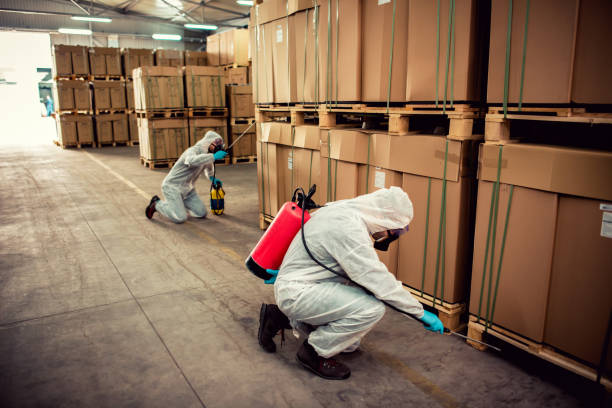 Best Pest Removal Services  in East Dubuque, IL