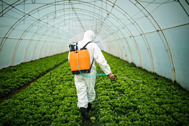 Best Best Pest Control Companies  in East Dubuque, IL
