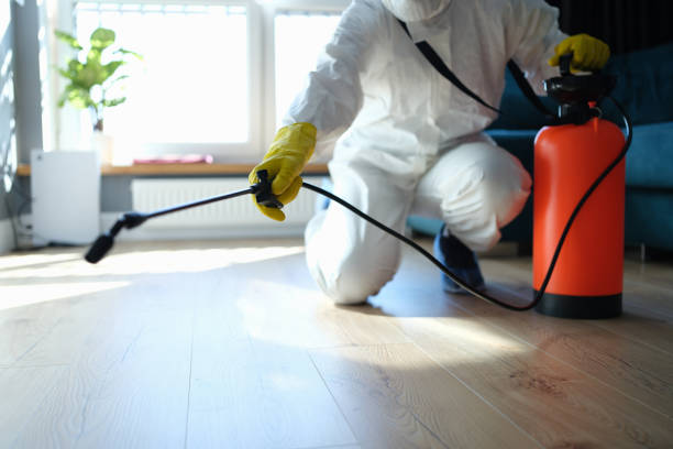 Insect Control in East Dubuque, IL