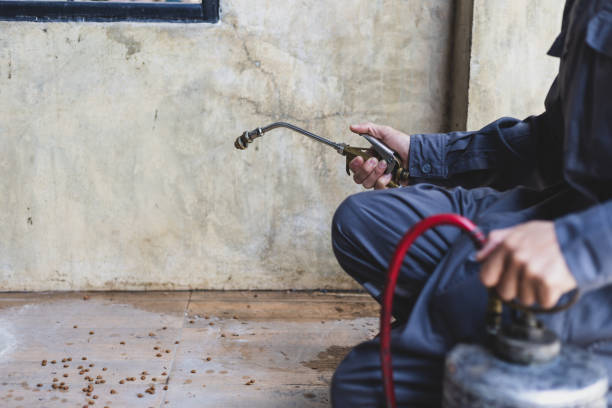 Best Local Pest Control Services  in East Dubuque, IL